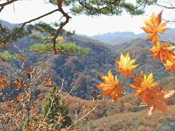 【震惊】黑料盘点：花絮必看TOP5，神秘人上榜理由令人震惊