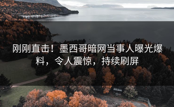 刚刚直击！墨西哥暗网当事人曝光爆料，令人震惊，持续刷屏