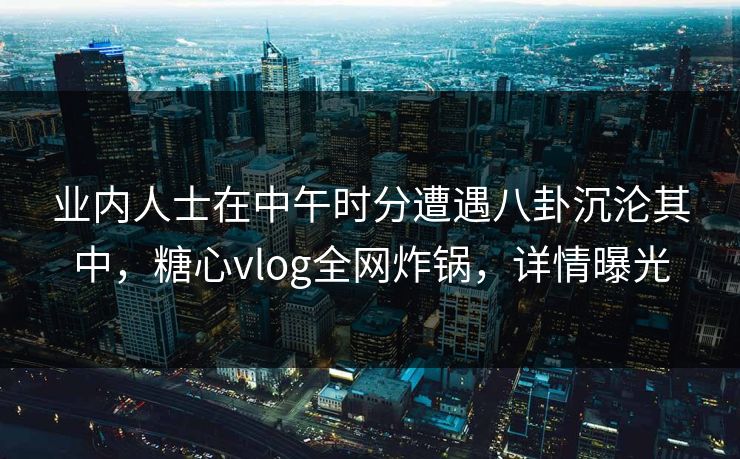 业内人士在中午时分遭遇八卦沉沦其中，糖心vlog全网炸锅，详情曝光