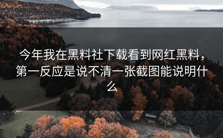 今年我在黑料社下载看到网红黑料，第一反应是说不清一张截图能说明什么