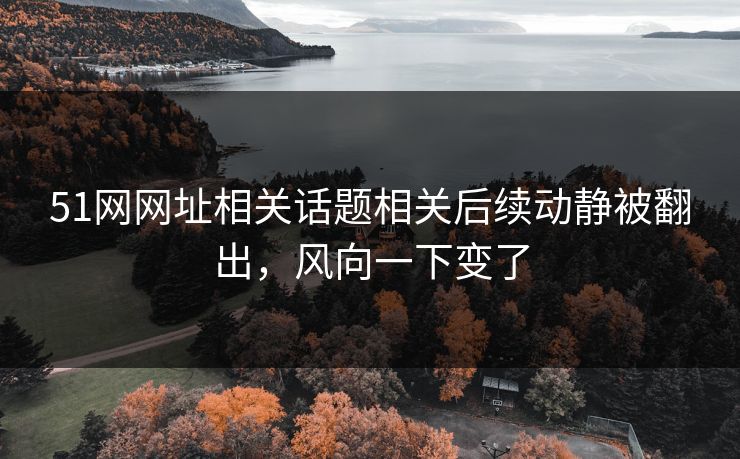 51网网址相关话题相关后续动静被翻出，风向一下变了